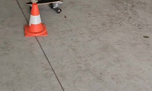 Kitten Rides a Mini Skateboard