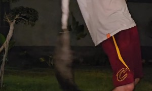 Otter Holds on Tight to Towel