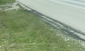 Frito-Lay Truck Involved in Police Chase in Texas