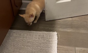 Never Forget to Shut the  Door