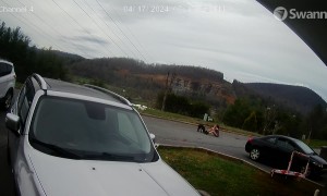 Dog-tired Neighbor Faceplants During Walk