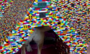 Massive Dog House Made With Building Blocks