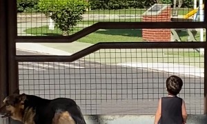 Boy Barks With His Canine Companion