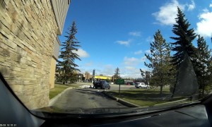 Cyclist Crashes into Car