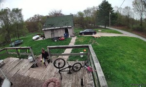 Gilbert the Goat Unexpectedly Faints