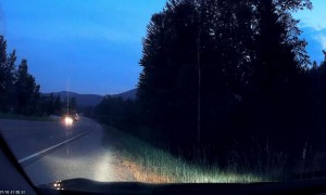 Crashing into a Deer in BC