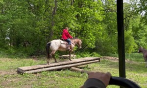 Man Quickly Dives In To Save Niece From Kicking Horse