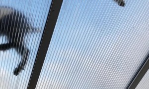 Goats On The Greenhouse Roof