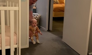 Baby Searches for Mom's Breastmilk