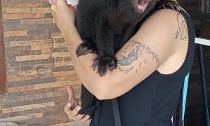 Rescued Monkey Misses Mom