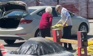 Elderly Couple Works Together