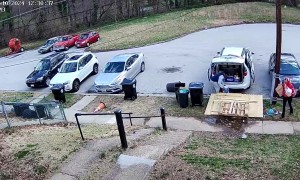 Couple Both Drop Groceries