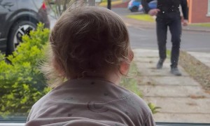 Tot's Adorable Reaction to Dad Coming Home