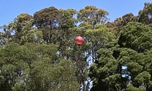 Drones Chase Air Balloon