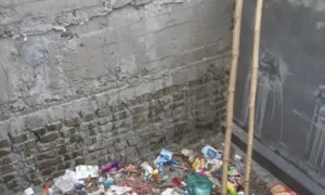 Dog Lays in Trash Pit