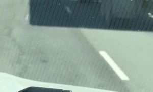 Stuffed Dog Hitches a Ride on Semi