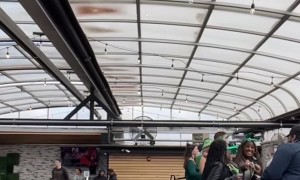 Green Tea Shot Goes Down Wrong