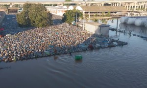 Boat Crew Rescues Stranded Dog