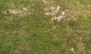 Trash Removal Made Easy