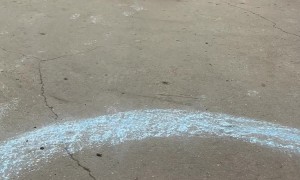 Pepper Shows Off Her Curling Skills