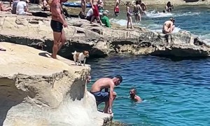Dog Jumps To Swimming Owner's Arms
