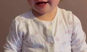 Baby Stops Crying to Arsenal FC's Famous Chant