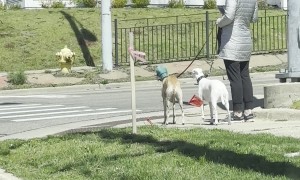 When Your 4-Year-Old Has Cultural Awareness