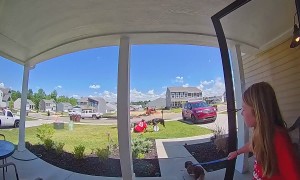 Mom Trips and Falls Taking Out Dogs