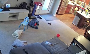 Bucket Boy Runs Straight Into Wall