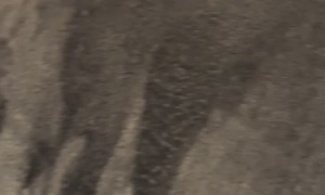 Friend Draws Mona Lisa on a Blanket