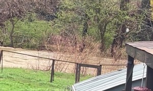 Jet Skiing in Flooded Creek