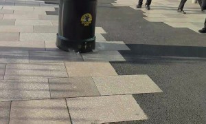 Remote Control Rubbish Bin Race Car