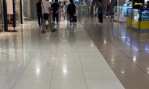 Dog Too Lazy to Walk in Mall