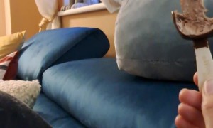 Lorikeet Tries to Lick Ice Cream