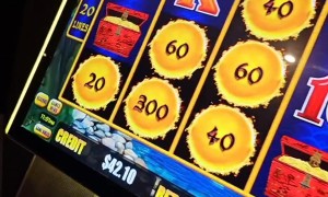 Dachshund Has Beginner's Luck at Casino