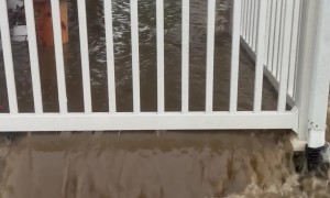Man Reacts to His House Getting Flooded