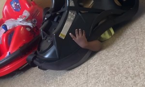 When All Your Son Needs Is the Right Motivation