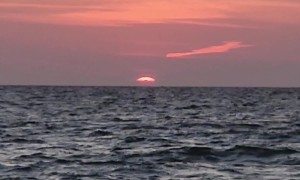 Shark Boat Photobombs Sunset Recording