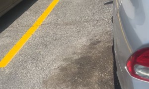 Car Parked Way Too Close