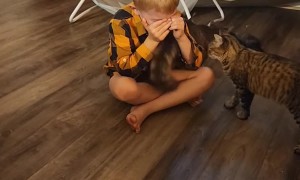 Cat Comforts Crying Kid