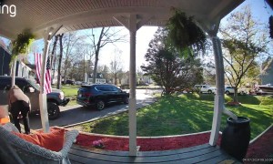 Hanging Fern Falls on Woman's Back