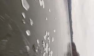 Boat Glides Through Thin Ice