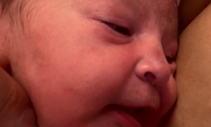 Newborn Baby Laughs