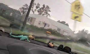 Strong Winds Blow Debris Across Road in Kansas