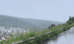 Bird Glides in Place