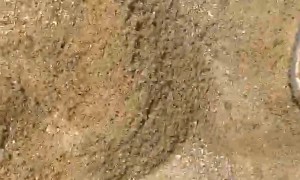 Man With His Hands Full Falls Backwards