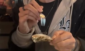 First Time Trying Oyster