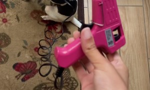 When You Can't Find the Leash and Need to Improvise