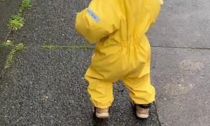 Toddler Duck Waddles And Quacks