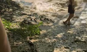 Rock Wall Collapses at Mead's Quarry Lake in Tennessee